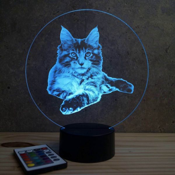 Lampe illusion 3D Chat Maine Coon