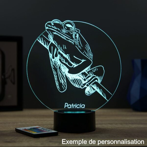 Lampe illusion 3D grenouille